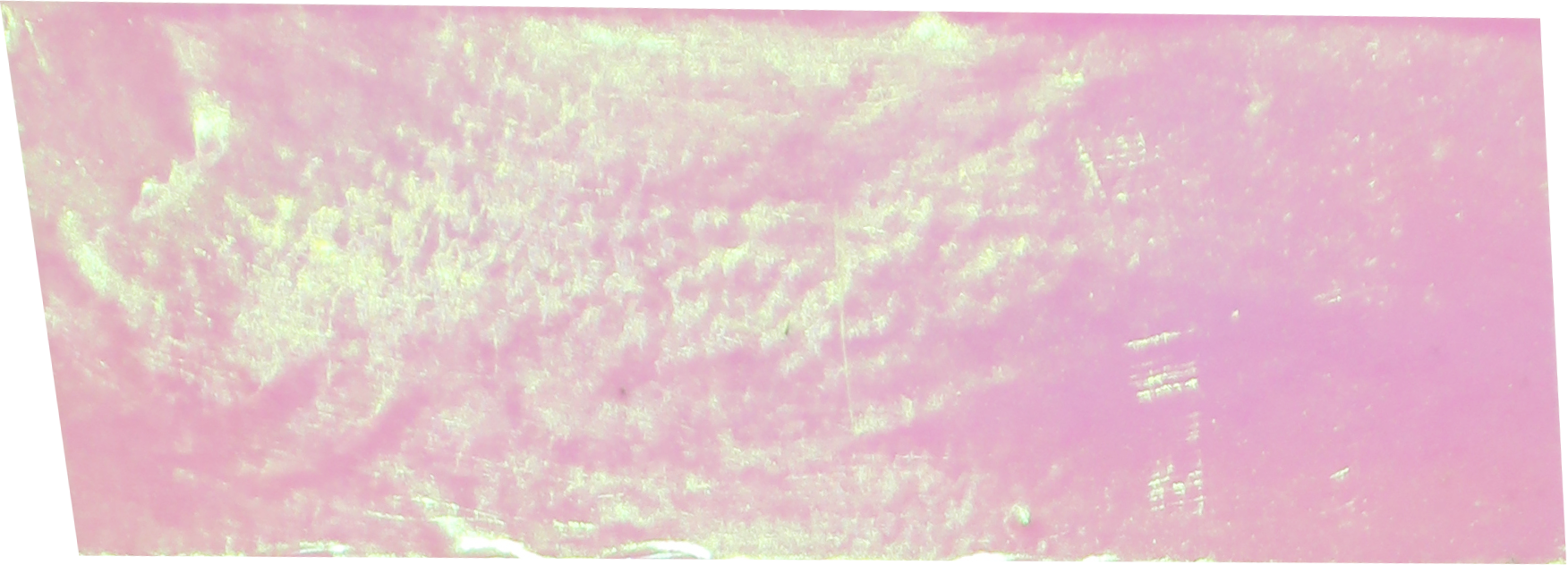 Pink Shiny Sticky Tape Texture